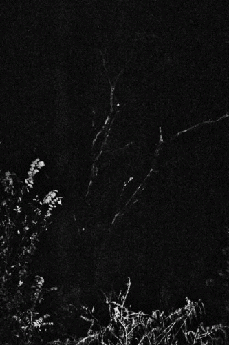 Nächtlich : Nächtlich (Demo)